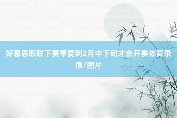 好意思职联下赛季要到2月中下旬才会开赛体育录像/图片
