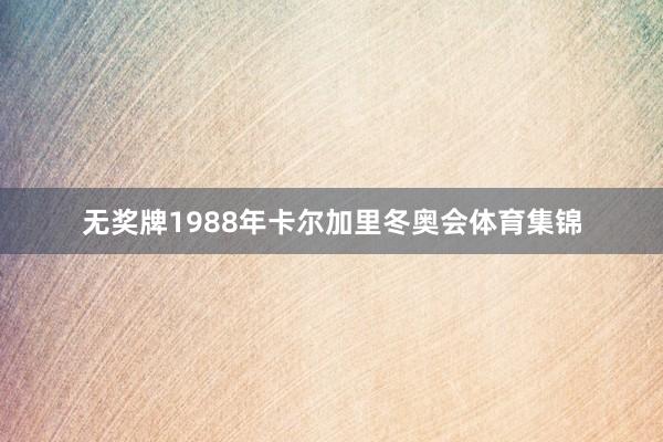 无奖牌1988年卡尔加里冬奥会体育集锦