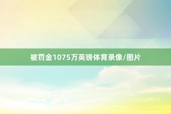 被罚金1075万英镑体育录像/图片