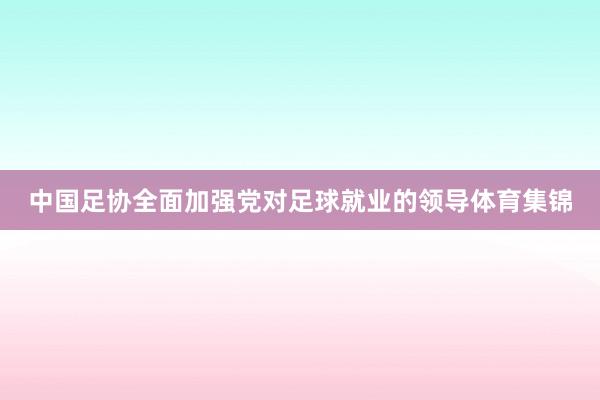 中国足协全面加强党对足球就业的领导体育集锦