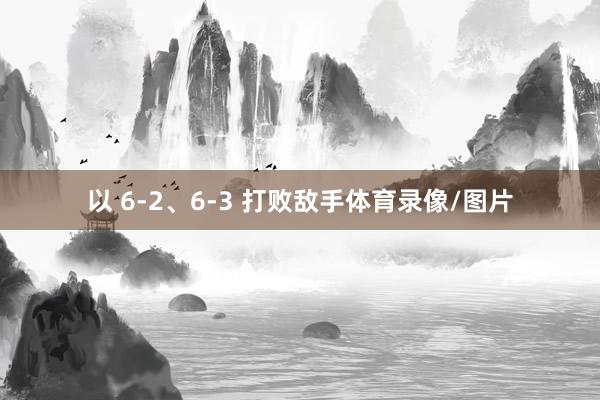 以 6-2、6-3 打败敌手体育录像/图片