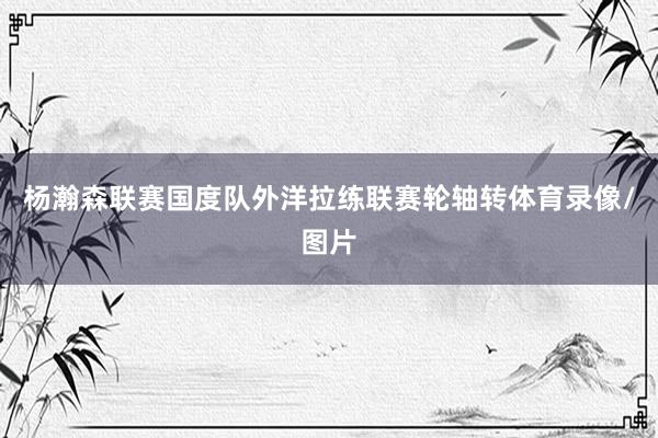 杨瀚森联赛国度队外洋拉练联赛轮轴转体育录像/图片