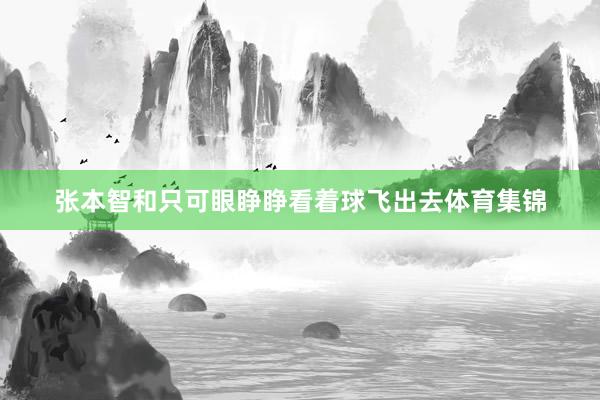 张本智和只可眼睁睁看着球飞出去体育集锦