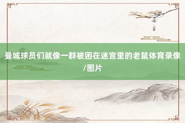 曼城球员们就像一群被困在迷宫里的老鼠体育录像/图片