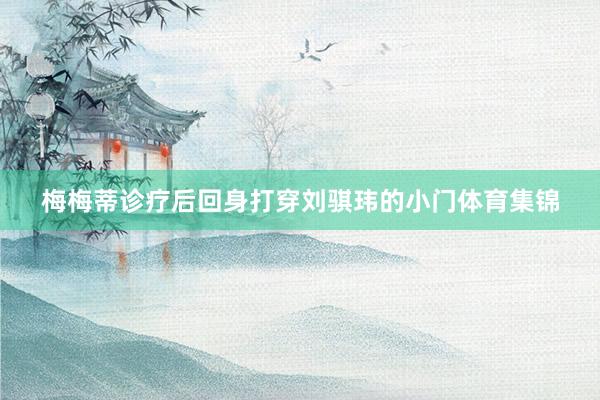 梅梅蒂诊疗后回身打穿刘骐玮的小门体育集锦
