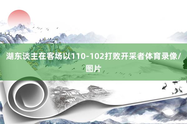 湖东谈主在客场以110-102打败开采者体育录像/图片