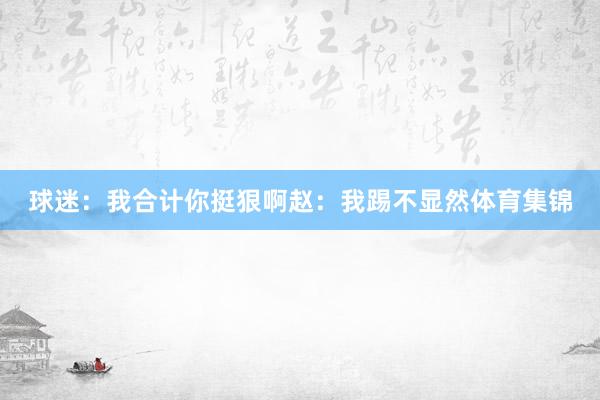 球迷:我合计你挺狠啊赵:我踢不显然体育集锦