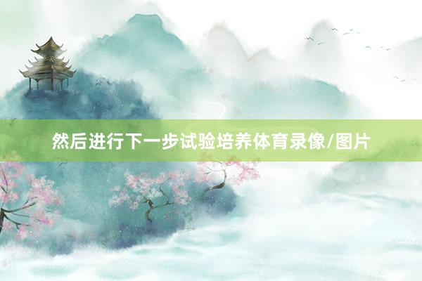 然后进行下一步试验培养体育录像/图片