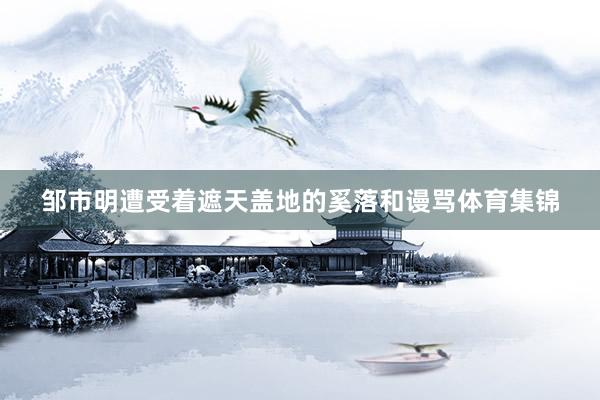 邹市明遭受着遮天盖地的奚落和谩骂体育集锦