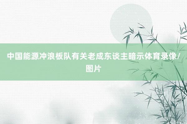 中国能源冲浪板队有关老成东谈主暗示体育录像/图片