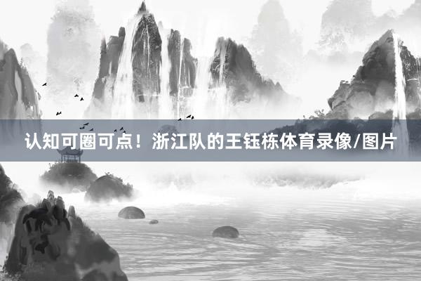 认知可圈可点！浙江队的王钰栋体育录像/图片