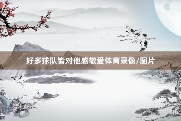 好多球队皆对他感敬爱体育录像/图片