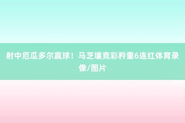 射中厄瓜多尔赢球！马芝壤竞彩矜重6连红体育录像/图片