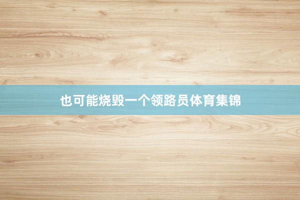 也可能烧毁一个领路员体育集锦