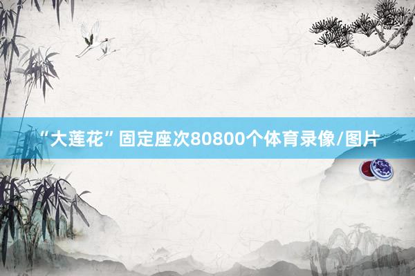 “大莲花”固定座次80800个体育录像/图片