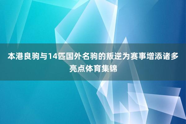 本港良驹与14匹国外名驹的叛逆为赛事增添诸多亮点体育集锦