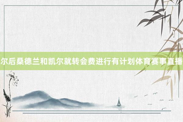 尔后桑德兰和凯尔就转会费进行有计划体育赛事直播