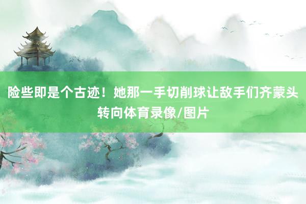 险些即是个古迹！她那一手切削球让敌手们齐蒙头转向体育录像/图片