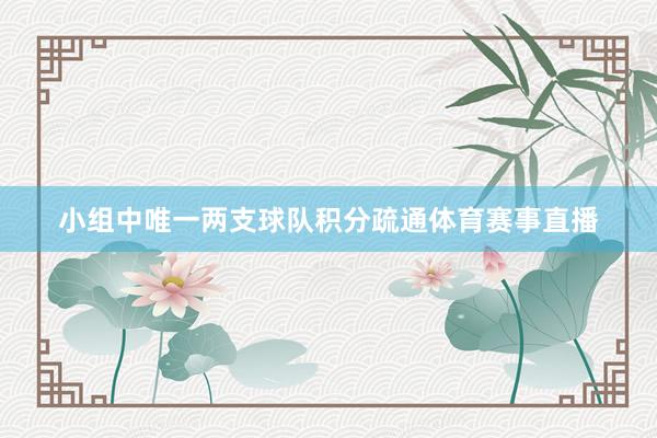 小组中唯一两支球队积分疏通体育赛事直播