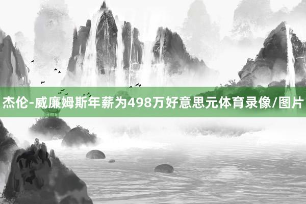 杰伦-威廉姆斯年薪为498万好意思元体育录像/图片