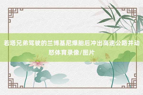 若塔兄弟驾驶的兰博基尼爆胎后冲出高速公路并动怒体育录像/图片