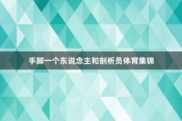 手脚一个东说念主和剖析员体育集锦