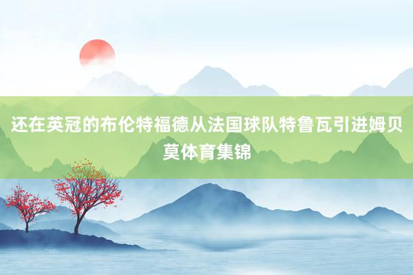 还在英冠的布伦特福德从法国球队特鲁瓦引进姆贝莫体育集锦