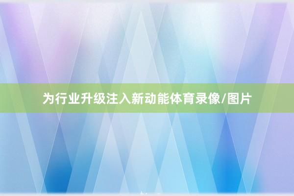 为行业升级注入新动能体育录像/图片